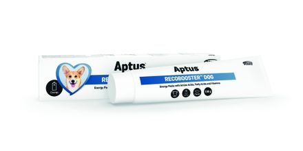 Aptus Recobooster DOG paste 100 g MHD 31/07/2024